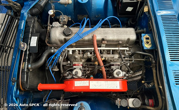 1958 Austin Healy 100-6 Photograph