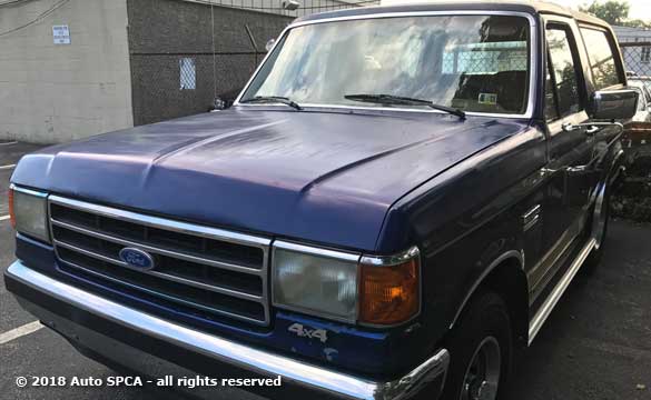 1978 Kellion Stallion